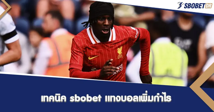 เทคนิค sbobet วิธีแทงบอลเอากำไร
